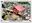 <img src=/images/vizitky/thumbnail/jachymov-udoli-mlynku-17464.jpg>