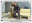 <img src=/images/vizitky/thumbnail/klimovic-pavel-pajin-5916.jpg>