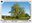 <img src=/images/vizitky/thumbnail/lipka-lipa-16206.jpg>