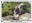 <img src=/images/vizitky/thumbnail/p-11-bohemix-ondrej-havlik.jpg>