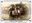 <img src=/images/vizitky/thumbnail/turisticky-vlacek-humboldt-12267.jpg>